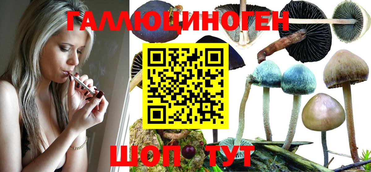 Псилоцибиновые грибы GOLDEN TEACHER  Вход с VPN  Галлюциногенные грибы Psilocybe  Саров 